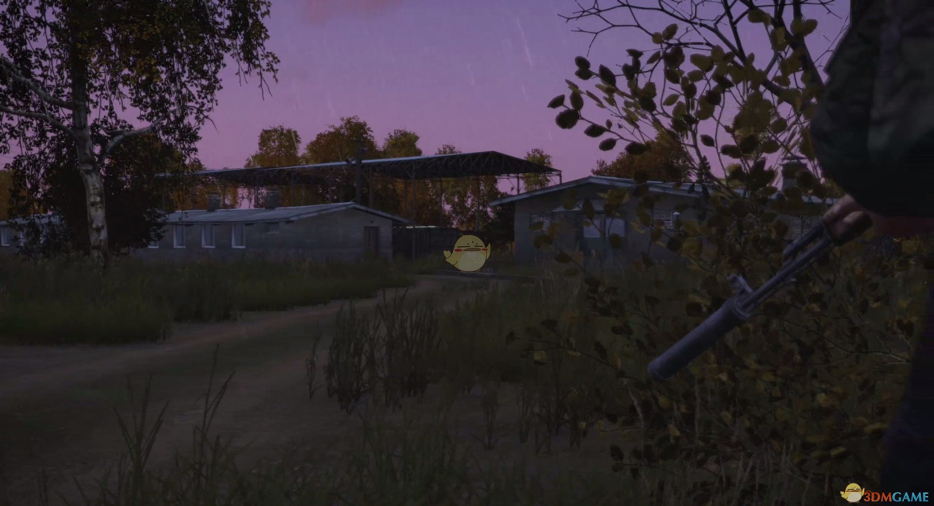 Dayz 种植农作物方法分享 游戏易站